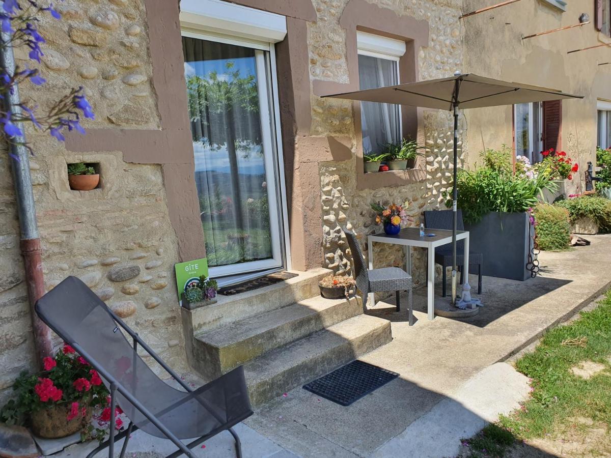 Вилла Les Figuets Chateauneuf-de-Galaure Экстерьер фото