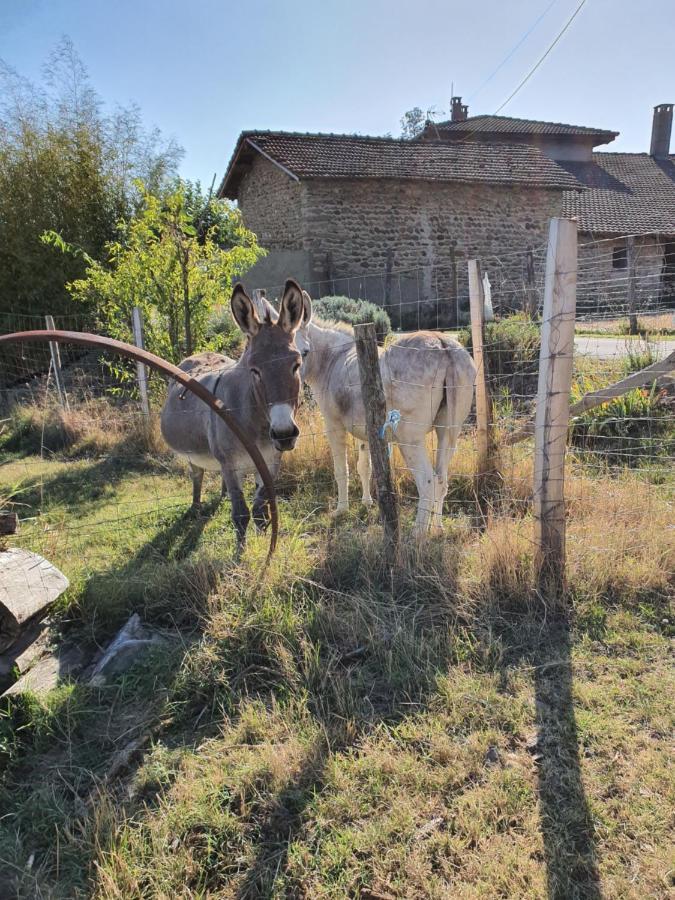 Вилла Les Figuets Chateauneuf-de-Galaure Экстерьер фото
