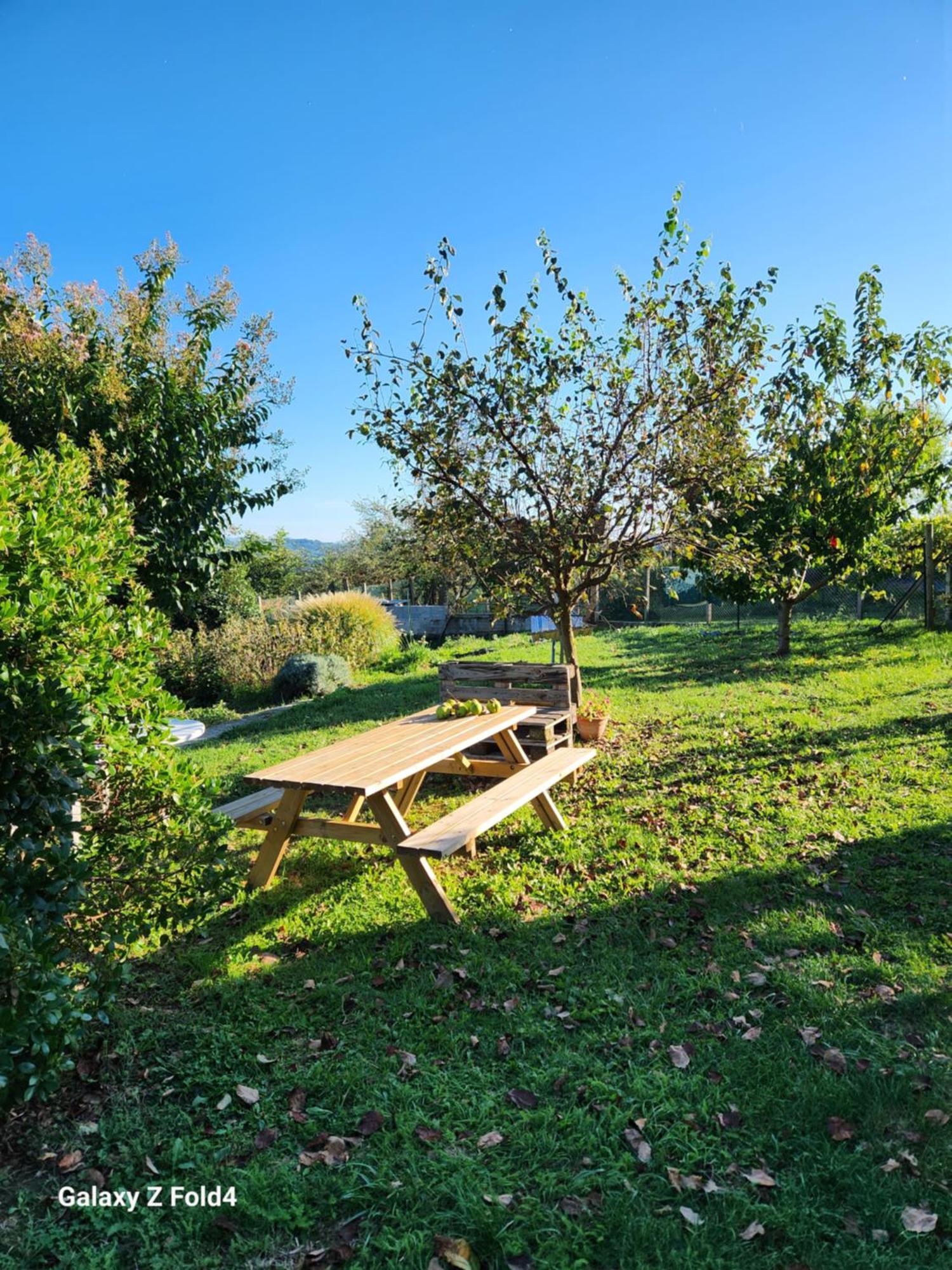 Вилла Les Figuets Chateauneuf-de-Galaure Экстерьер фото