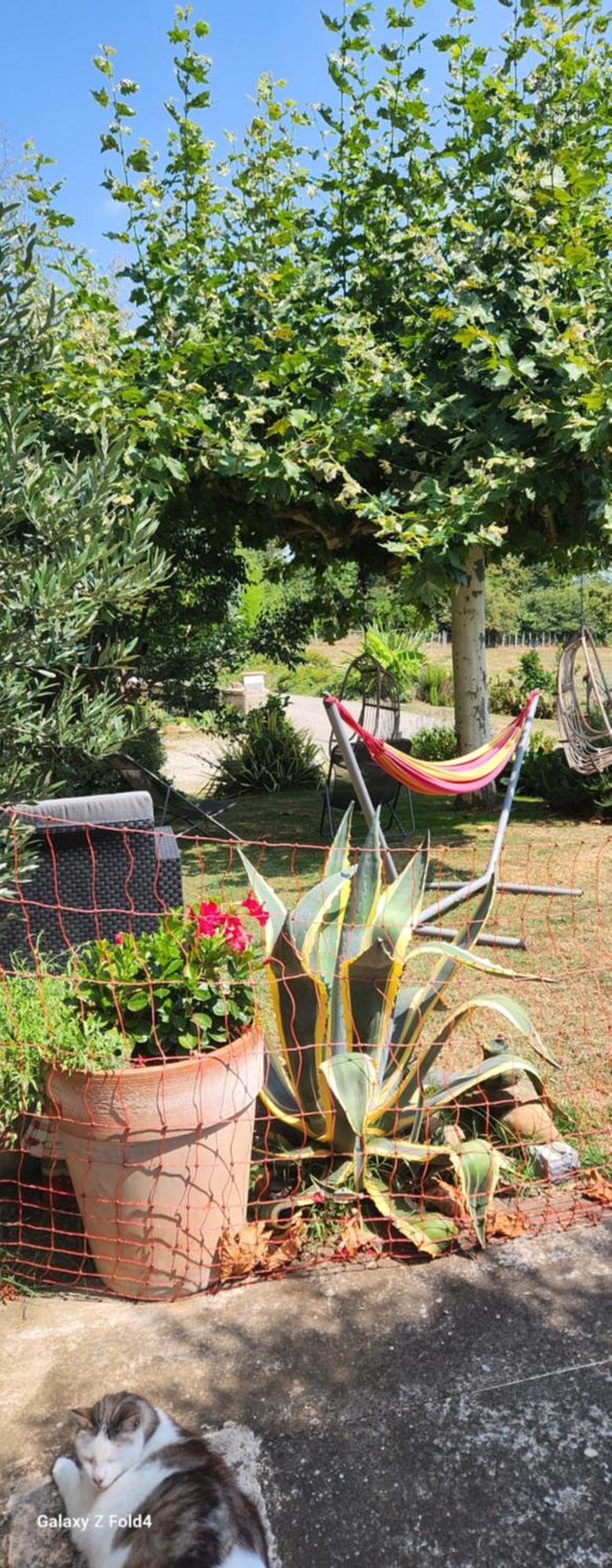Вилла Les Figuets Chateauneuf-de-Galaure Экстерьер фото