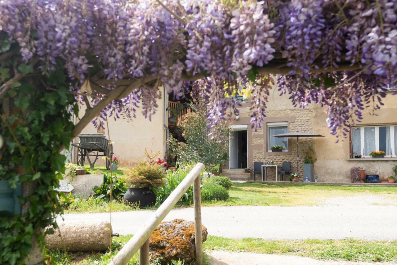 Вилла Les Figuets Chateauneuf-de-Galaure Экстерьер фото